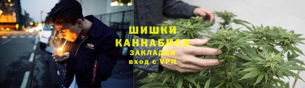 сатива Алексин
