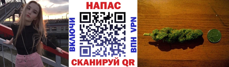 Бошки Шишки план Балашов